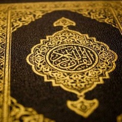 العنكبوت آية 24 إلى آية 35 من صلاة القيام - محمد عويمر
