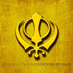 Transcendental Ecstasy (Govinda Neogoa Remix)
