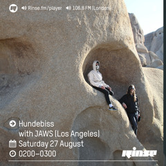 Rinse FM Podcast - Hundebiss w/ JAWS - 27th August 2016
