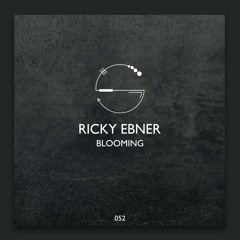 Ricky Ebner - Candust (Original Mix) Preview