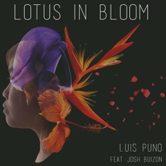 Lotus in Bloom (feat. Josh Buizon)