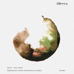 Kotu - Inta Aura (Original Mix)