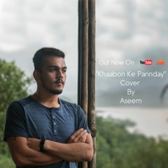 "Khaabon Ke Parinday" Alyssa Mendonsa & Mohit Chauhan Cover by Aseem.