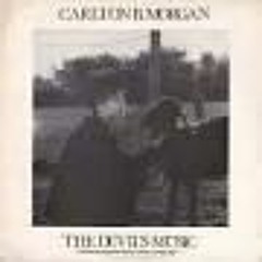 Shave The Ayatollah by Carlton B Morgan