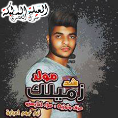 مولد شد زميلك