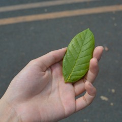 One Day (A capella), 2016