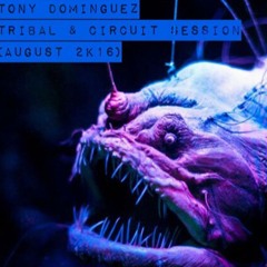 Tony Dominguez - Tribal & Circuit Session (August 2k16)
