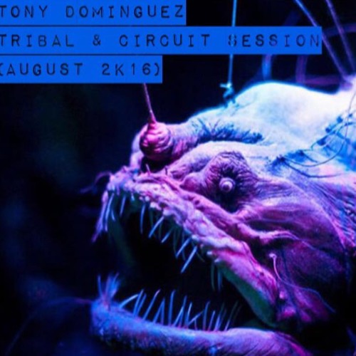 Tony Dominguez - Tribal & Circuit Session (August 2k16)