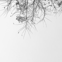 شهرزاد بهشتیان