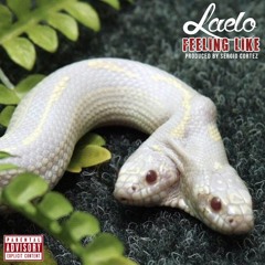 Laelo - Feeling Like (prod. Sergio Cortez)