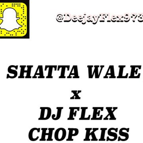 Shatta Wale X DJ Flex - Chop Kiss (AfroBeat Video Version)