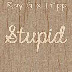 Ray G x Tripp - STUPID!