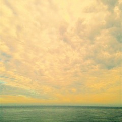 Archie, Marry Me - Alvvays