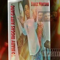 Boogie Montana - To Many Niggas Not gang