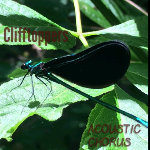 Acoustic Chorus (featuring Collab, Align, Drewdahead, and Highfield)