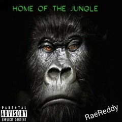 RaeReddy-Gwualla(Prod.By WhoIsMike)