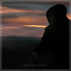 Night Walks - Night Walks