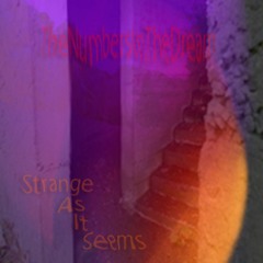 TheNumbersInTheDream - Strange As It Seems (FAG ASH Records)
