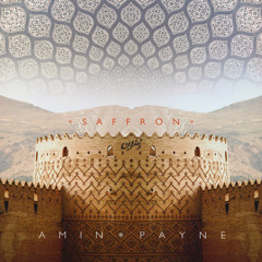 AMIN PAYNE - Persian Tea Feat.Golden Cub