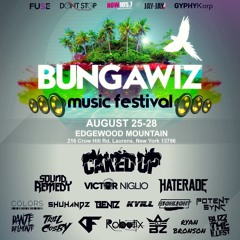 Live @ Bungawiz Music Festival
