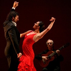 Omar Bashir - The Crazy Oud Maqam Flamenco