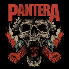 Pantera Mouth of War