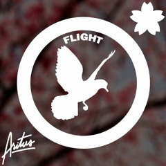 Aritus - Flight