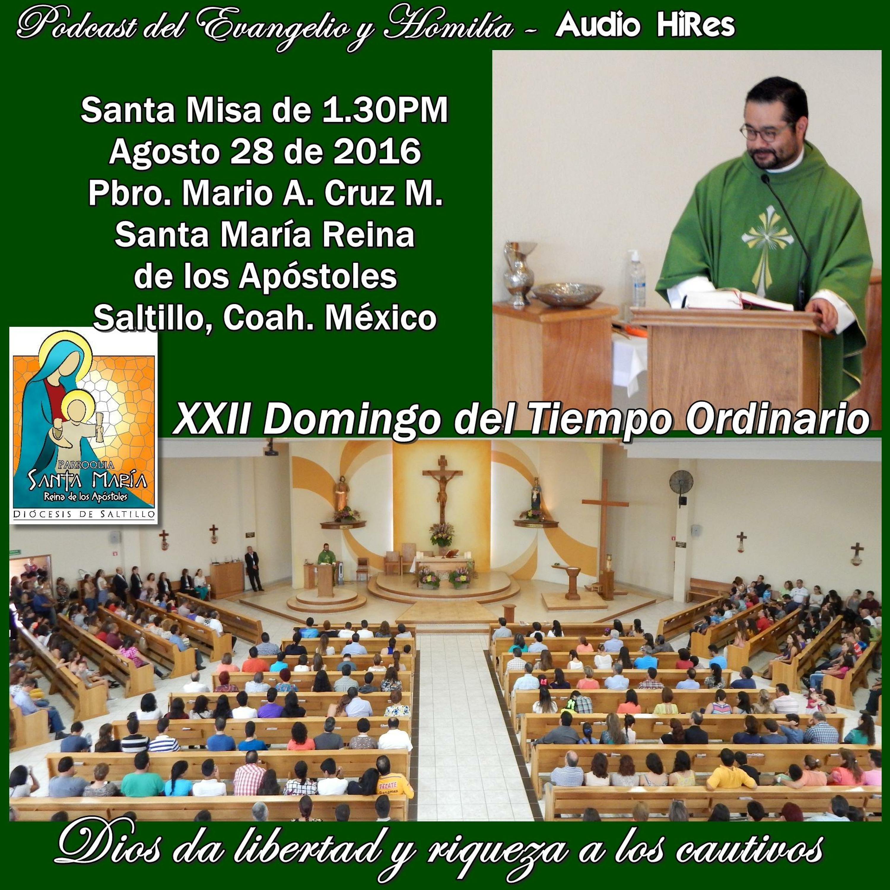 SAMARA_Saltillo #2019