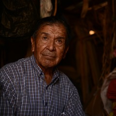 Verso por La Gloria II - Pedro Tapia