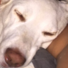 Chris Brown - Beautiful People (Remix)