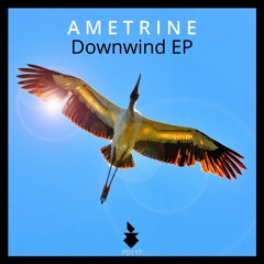 Ametrine - Downwind (Original Mix) [Pineapple Digital]