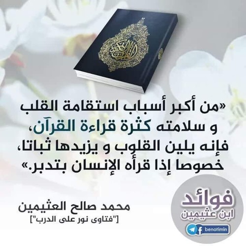 القرآن في القبر مقطع مؤثر للشيخ ايمن سويد