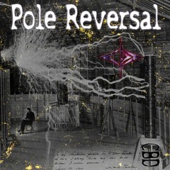 Pole Reversal