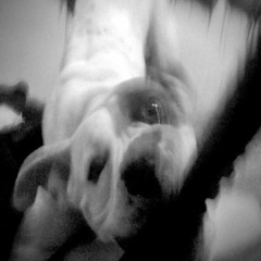 Contragolpe Rugal INK Criminal 2016  19-93 PRODUCCIONES