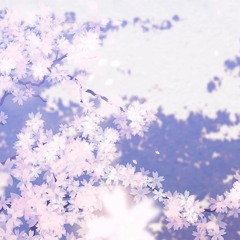 ヾ(ﾟ∀ﾟゞ)