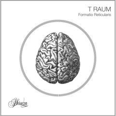 T Raum - Formatio Reticularis Album mixed by Eulenspieler