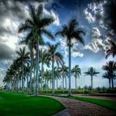 AffectionHour#121(DwarfPalm-MixedByDassler)