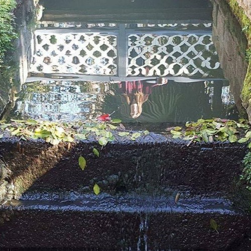 Stream Blue Lips Regina Spektor Acoustic by Annie McD Listen online