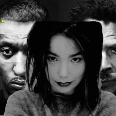 Human Unfinished Sympathy Behaviour (Mass1ve Bj0rk Attack Remix)