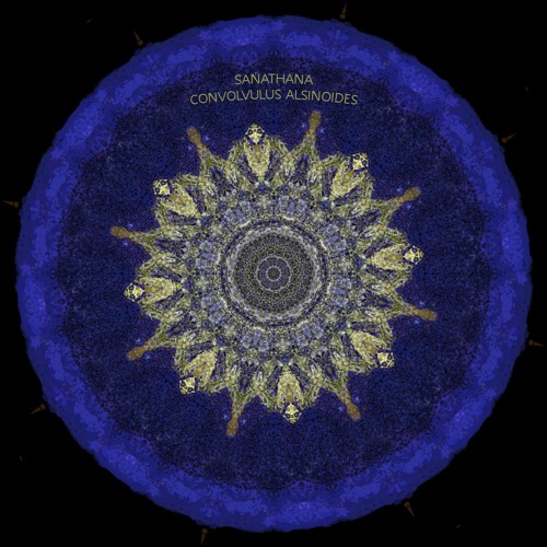 SANATHANA - CONVOLVULUS ALSINOIDES [Unreleased / Preivew]