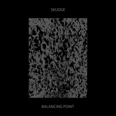 BALANCING POINT (SKUDGE-LP02) PREVIEWS