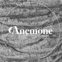 Rene Wise - Decimal (preview) -Anemone Recordings