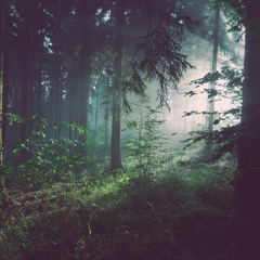 Joel Adams - Please Don't Go