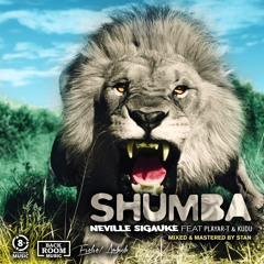 Shumba (feat. Playar-T & Kudu)(Produced by King LA)