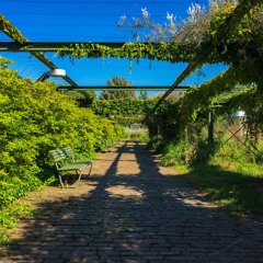 Letzisound #4 - Bike & Roll (August 2016)