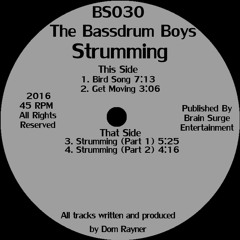 [Brain Surge 30] The Bassdrum Boys - Strumming (Full)