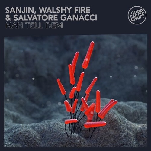 Nah Tell Dem (Fabian Mazur Remix)