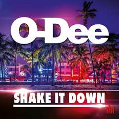 DJ O-Dee - Shake It Down (LeeRoy Remix) (Teaser)