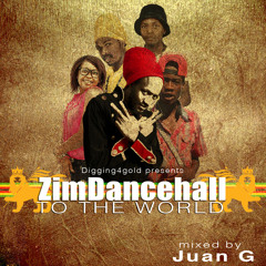 ZimDancehall to the World presented by Digging4gold (Jan 2016)