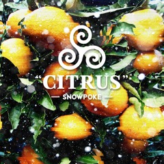 Snowpoke - Citrus